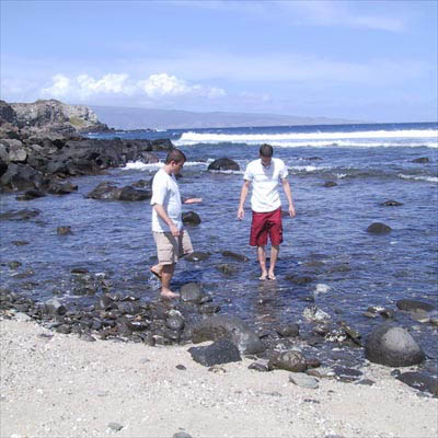 candjshellbeach