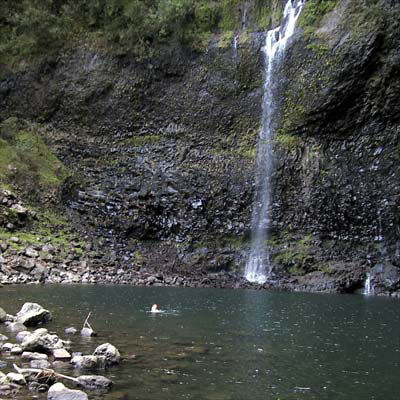 craigswim