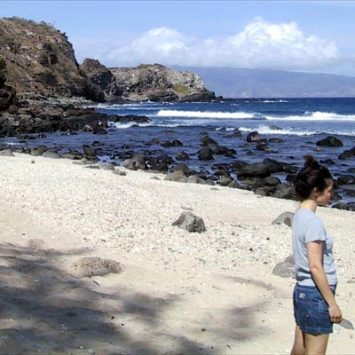 tinashellbeach