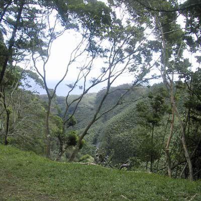 clifftop