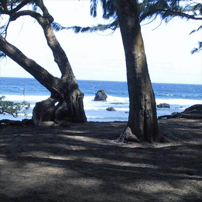 shellbeachparking