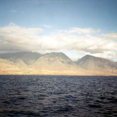 westmauis1