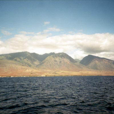 westmauis2