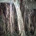 oheobanyanmaintrunk
