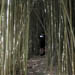 sidetrail