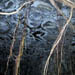 undercutceiling